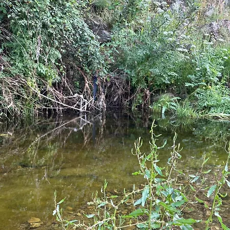 El Quejigo * Santa Olalla del Cala